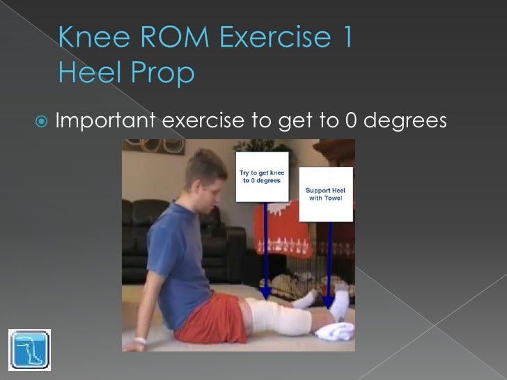 Knee Range of Motion Exercises