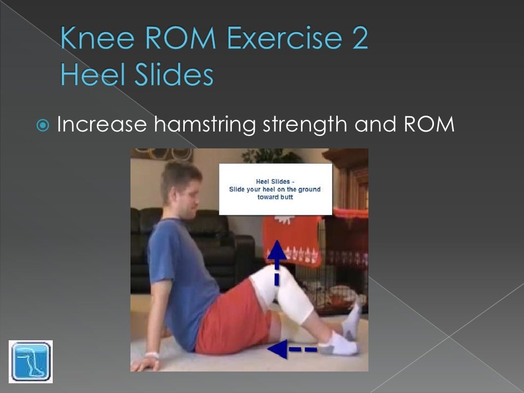 Knee Range of Motion Exercises