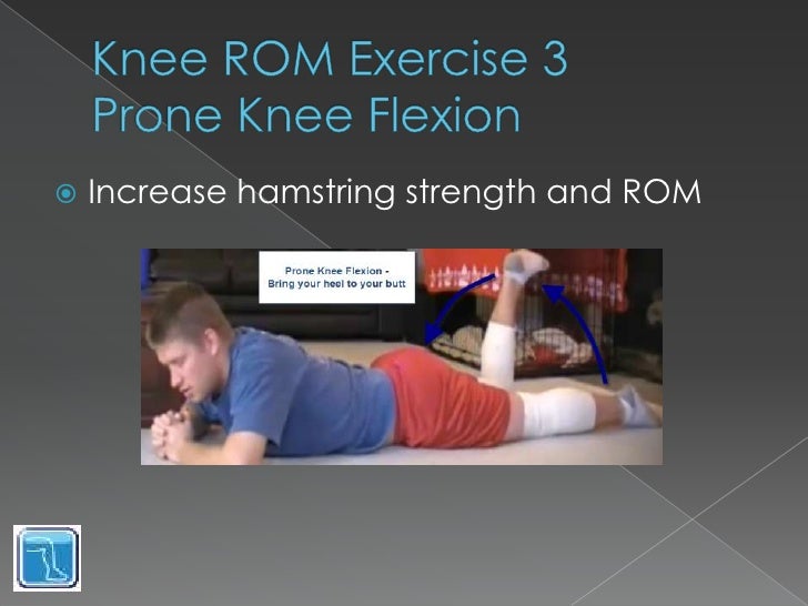 Knee Range of Motion Exercises