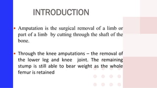 INTRODUCTION
 Amputation is the surgical removal of a limb or
part of a limb by cutting through the shaft of the
bone.
 Through the knee amputations – the removal of
the lower leg and knee joint. The remaining
stump is still able to bear weight as the whole
femur is retained
 