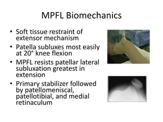 kneeanatomy-140617091721-phpapp01.pdf