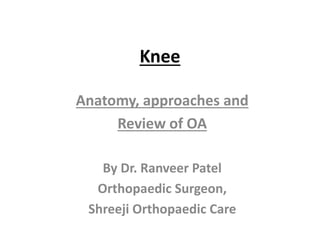 Knee
Anatomy, approaches and
Review of OA
By Dr. Ranveer Patel
Orthopaedic Surgeon,
Shreeji Orthopaedic Care
 