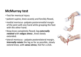 Mcmurray Testing Knee anatomy and clinical tests 2024.pdf
