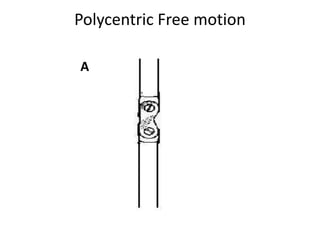 Polycentric Free motion
A
 