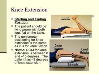Knee & ankle goiometry