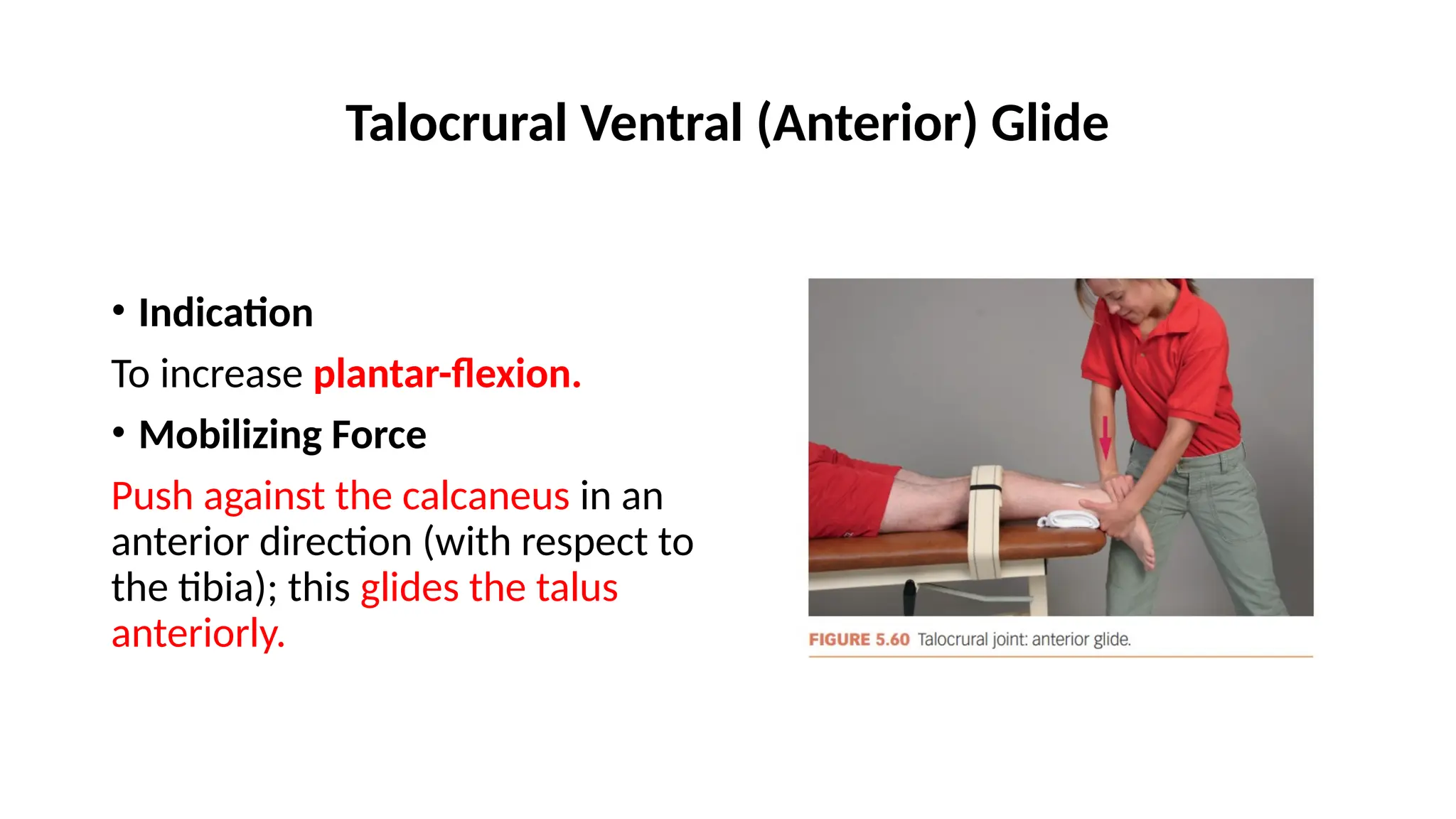 Knee Ankle Joint Mobilization Techniques Pptx