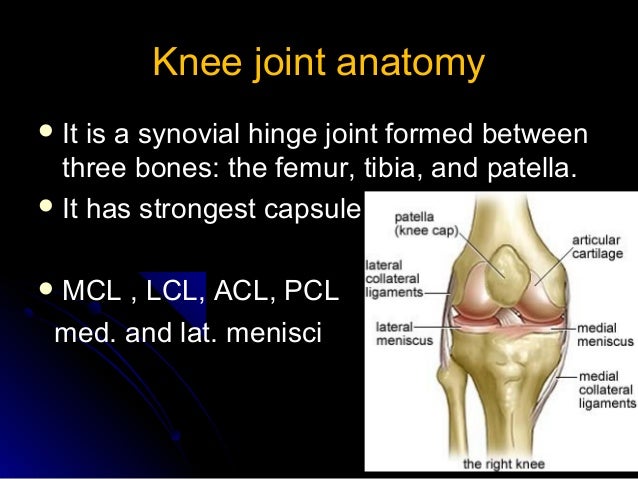 Knee arthrocentesis