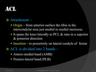 Knee biomechanic | PPTX