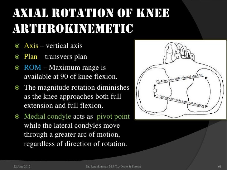 Knee biomechanic
