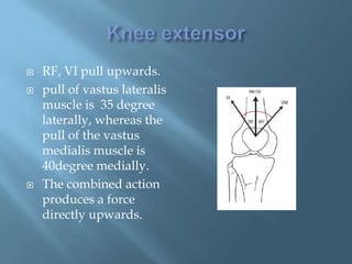    RF, VI pull upwards.
   pull of vastus lateralis
    muscle is 35 degree
    laterally, whereas the
    pull of the vastus
    medialis muscle is
    40degree medially.
   The combined action
    produces a force
    directly upwards.
 