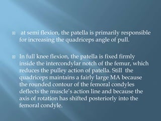     at semi flexion, the patella is primarily responsible
    for increasing the quadriceps angle of pull.

   In full knee flexion, the patella is fixed firmly
    inside the intercondylar notch of the femur, which
    reduces the pulley action of patella. Still the
    quadriceps maintains a fairly large MA because
    the rounded contour of the femoral condyles
    deflects the muscle’s action line and because the
    axis of rotation has shifted posteriorly into the
    femoral condyle.
 