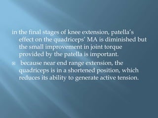 in the final stages of knee extension, patella’s
   effect on the quadriceps’ MA is diminished but
   the small improvement in joint torque
   provided by the patella is important.
 because near end range extension, the
   quadriceps is in a shortened position, which
   reduces its ability to generate active tension.
 