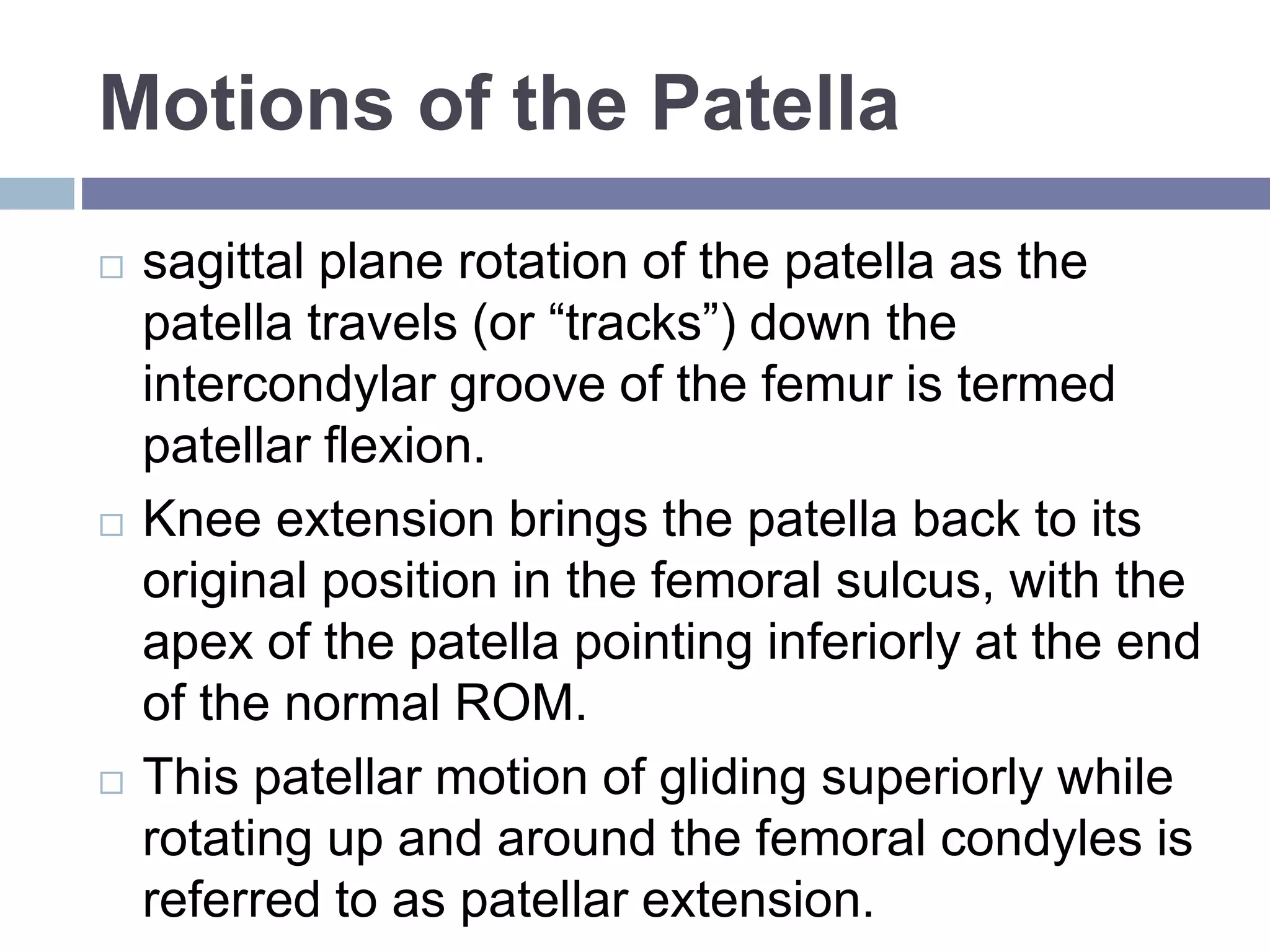 knee biomechanics.pptx