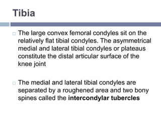 Condyle Means knee biomechanics.pptx