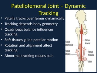Comprehensive Biomechanics and Alignment in Total Knee Arthroplasty | PPTX
