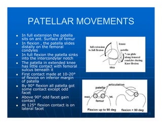 Terminal J Sign Knee biomechanics | PDF
