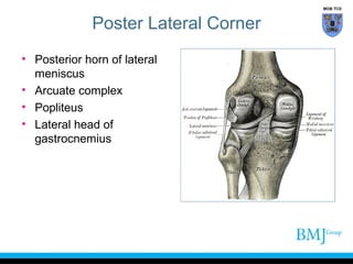 anatomy of Knee | PPT