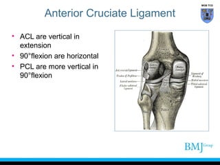 anatomy of Knee | PPT