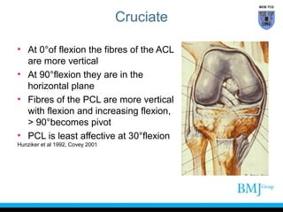 anatomy of Knee | PPT