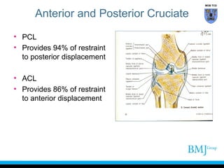 anatomy of Knee | PPT