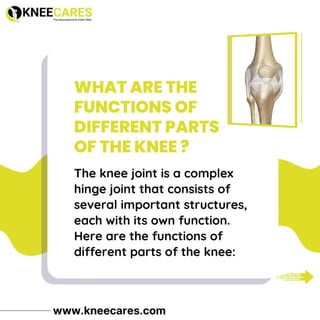 KNEECARES - The Superspeciality Knee Clinic