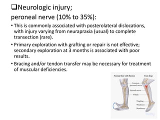 Neurologic injury;
peroneal nerve (10% to 35%):
• This is commonly associated with posterolateral dislocations,
with injury varying from neurapraxia (usual) to complete
transection (rare).
• Primary exploration with grafting or repair is not effective;
secondary exploration at 3 months is associated with poor
results.
• Bracing and/or tendon transfer may be necessary for treatment
of muscular deficiencies.
 