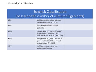 • Schenck Classification
Schenck Classification
(based on the number of ruptured ligaments)
KD I Multiligamentous injury with the
involvement of the ACL or PCL
KD II Injury to ACL and PCL only (2
ligaments)
KD III Injury to ACL, PCL, and PMC or PLC
(3 ligaments).KDIIIM (ACL, PCL,
MCL) and KDIIIL (ACL, PCL, PLC, LCL).
KD IV Injury to ACL, PCL, PMC, and PLC (4
ligaments)Has the highest rate of
vascular injury (5-15%%)
KD V Multiligamentous injury with
periarticular fracture
 