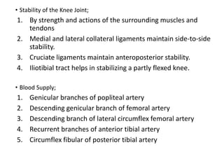 • Stability of the Knee Joint;
1. By strength and actions of the surrounding muscles and
tendons
2. Medial and lateral collateral ligaments maintain side-to-side
stability.
3. Cruciate ligaments maintain anteroposterior stability.
4. Iliotibial tract helps in stabilizing a partly flexed knee.
• Blood Supply;
1. Genicular branches of popliteal artery
2. Descending genicular branch of femoral artery
3. Descending branch of lateral circumflex femoral artery
4. Recurrent branches of anterior tibial artery
5. Circumflex fibular of posterior tibial artery
 