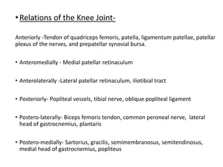 •Relations of the Knee Joint-
Anteriorly -Tendon of quadriceps femoris, patella, ligamentum patellae, patellar
plexus of the nerves, and prepatellar synovial bursa.
• Anteromedially - Medial patellar retinaculum
• Anterolaterally -Lateral patellar retinaculum, iliotibial tract
• Posteriorly- Popliteal vessels, tibial nerve, oblique popliteal ligament
• Postero-laterally- Biceps femoris tendon, common peroneal nerve, lateral
head of gastrocnemius, plantaris
• Postero-medially- Sartorius, gracilis, semimembranosus, semitendinosus,
medial head of gastrocnemius, popliteus
 