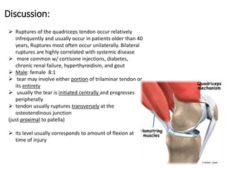 Discussion:
 Ruptures of the quadriceps tendon occur relatively
infrequently and usually occur in patients older than 40
years, Ruptures most often occur unilaterally. Bilateral
ruptures are highly correlated with systemic disease
 more common w/ cortisone injections, diabetes,
chronic renal failure, hyperthyroidism, and gout
 Male: female 8:1
 tear may involve either portion of trilaminar tendon or
its entirety
 usually the tear is initiated centrally and progresses
peripherally
 tendon usually ruptures transversely at the
osteotendinous junction
(just proximal to patella)
 its level usually corresponds to amount of flexion at
time of injury
 
