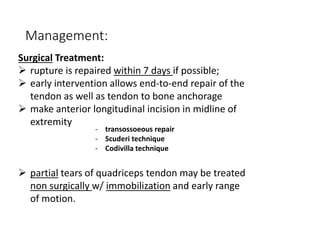 Management:
Surgical Treatment:
 rupture is repaired within 7 days if possible;
 early intervention allows end-to-end repair of the
tendon as well as tendon to bone anchorage
 make anterior longitudinal incision in midline of
extremity
 partial tears of quadriceps tendon may be treated
non surgically w/ immobilization and early range
of motion.
- transossoeous repair
- Scuderi technique
- Codivilla technique
 