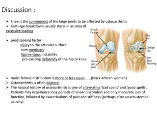 Discussion :
 knee is the commonest of the large joints to be affected by osteoarthritis
 Cartilage breakdown usually starts in an area of
excessive loading
 predisposing factor:
injury to the articular surface
torn meniscus
ligamentous instability
pre-existing deformity of the hip or knee
 male: female distribution is more or less equal ……(black African women)
 Osteoarthritis is often bilateral
 The natural history of osteoarthritis is one of alternating ‘bad spells’ and ‘good spells’.
Patients may experience long periods of lesser discomfort and only moderate loss of
function, followed by exacerbations of pain and stiffness (perhaps after unaccustomed
activity).
 