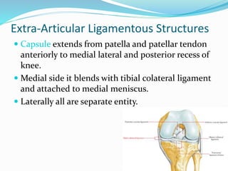 Extra-Articular Ligamentous Structures
 Capsule extends from patella and patellar tendon
anteriorly to medial lateral and posterior recess of
knee.
 Medial side it blends with tibial colateral ligament
and attached to medial meniscus.
 Laterally all are separate entity.
 