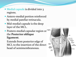  Medial capsule is divided into 3
regions.
 Antero-medial portion reinforced
by medial patellar retinacula.
 Mid-medial capsule is the deep
layer of the MCL.
 Postero-medial capsular region or
the Posterior oblique
ligament.
Extends from posterior edge of
MCL to the insertion of the direct
head of semimembranosus.
 