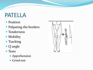 PATELLA
 Position
 Palpating the borders
 Tenderness
 Mobility
 Tracking
 Q angle
 Tests
 Apprehension
 Grind test
 