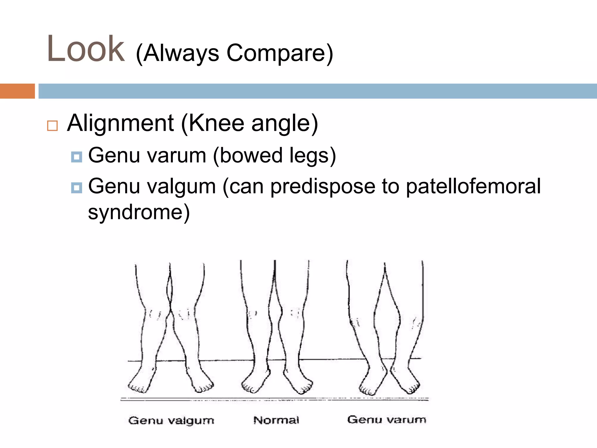 Knee Examination.pptx