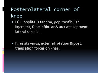 Posterolateral corner of
knee
 LCL, popliteus tendon, popliteofibular
ligament, fabellofibular & arcuate ligament,
lateral capsule.
 It resists varus, external rotation & post.
translation forces on knee.
 