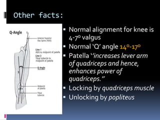 Other facts:
 Normal alignment for knee is
4-7ᵒ valgus
 Normal ‘Q’ angle 14ᵒ-17ᵒ
 Patella ‘’increases lever arm
of quadriceps and hence,
enhances power of
quadriceps.’’
 Locking by quadriceps muscle
 Unlocking by popliteus
 