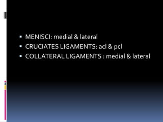  MENISCI: medial & lateral
 CRUCIATES LIGAMENTS: acl & pcl
 COLLATERAL LIGAMENTS : medial & lateral
 