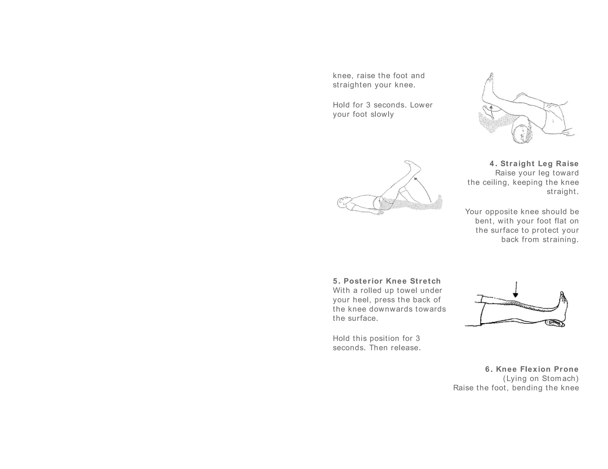 Knockout Knee Exercises For Incredible Strength - 9gzinai