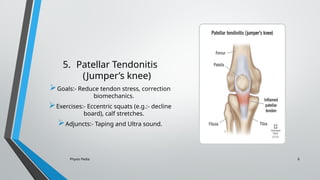 Physio Pedia 6
5. Patellar Tendonitis
(Jumper’s knee)
Goals:- Reduce tendon stress, correction
biomechanics.
Exercises:- Eccentric squats (e.g.:- decline
board), calf stretches.
Adjuncts:- Taping and Ultra sound.
 