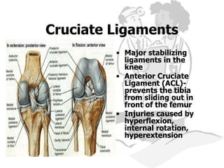 Knee injuries in sports medicine & arthroscopy | PPT