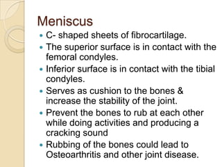 Meniscus
   C- shaped sheets of fibrocartilage.
   The superior surface is in contact with the
    femoral condyles.
   Inferior surface is in contact with the tibial
    condyles.
   Serves as cushion to the bones &
    increase the stability of the joint.
   Prevent the bones to rub at each other
    while doing activities and producing a
    cracking sound
   Rubbing of the bones could lead to
    Osteoarthritis and other joint disease.
 