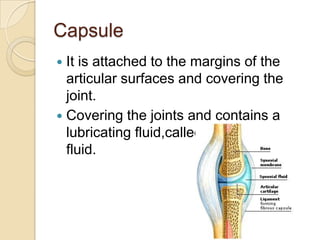 Capsule
 It is attached to the margins of the
  articular surfaces and covering the
  joint.
 Covering the joints and contains a
  lubricating fluid,called the synovial
  fluid.
 