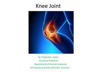 Knee Joint
Dr. Prabhakar Yadav
Associate Professor
Department of Human Anatomy
B.P. Koirala Institute of Health Sciences
 