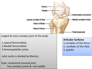 Largest & most complex joint of the body
1.Lateral femorotibial,
2.Medial femorotibial
3.Femoropatellar joints.
Joint cavity is divided by Menisci
Type: compound synovial joint,
Two condylar joints & one saddle
Articular Surfaces
1.condyles of the femur
2. condyles of the tibia.
3. patella
 
