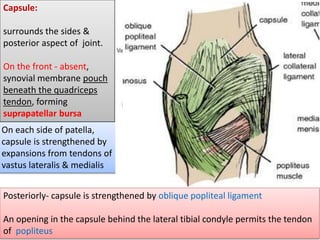 Capsule:
surrounds the sides &
posterior aspect of joint.
On the front - absent,
synovial membrane pouch
beneath the quadriceps
tendon, forming
suprapatellar bursa
On each side of patella,
capsule is strengthened by
expansions from tendons of
vastus lateralis & medialis
Posteriorly- capsule is strengthened by oblique popliteal ligament
An opening in the capsule behind the lateral tibial condyle permits the tendon
of popliteus
 