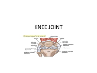 KNEE JOINT
 