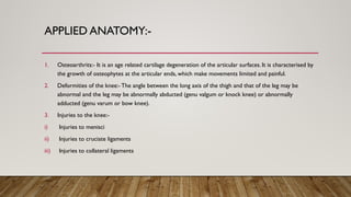 Knee Joint and details about around soft tissue | PPTX