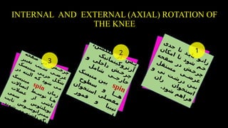 Internal Rotation Of Knee Comprehensive Anatomy and Biomechanics of the Knee Joint | PPTX